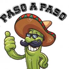 Paso a Paso