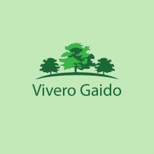 Vivero Gaido